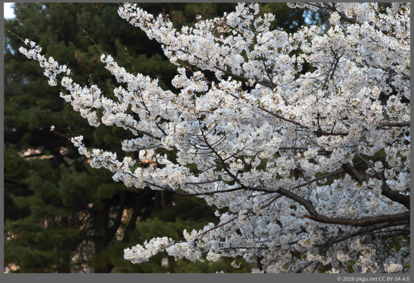 Yeouido, Seoul, Korea.