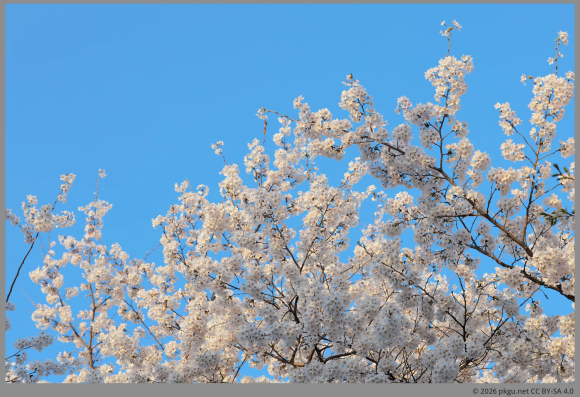 Yeouido, Seoul, Korea.