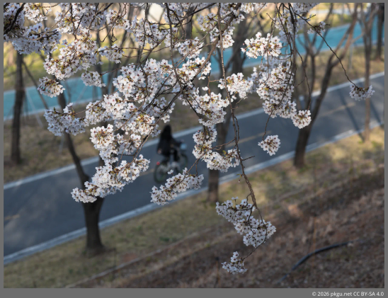 Dorim-cheon, Seoul, Korea.