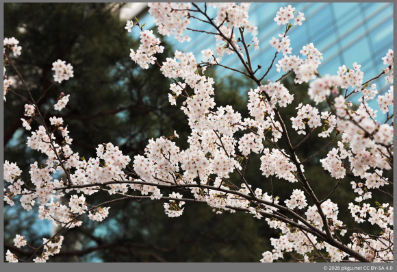 Shindorim, Seoul, Korea.
