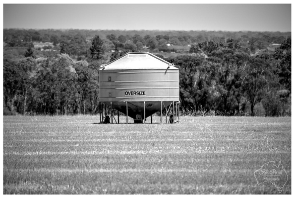 A black and white landscape photograph featuring a large, cylindrical grain silo standing in the middle of a harvested field. The silo has a conical roof and a sign on its side that reads OVERSIZE in bold capital letters.

It is supported by a metal frame. The background consists of a dense line of eucalypt trees under a clear sky. The image has a slight vignette around the edges, and a watermark shaped like Australia is in the bottom right corner.