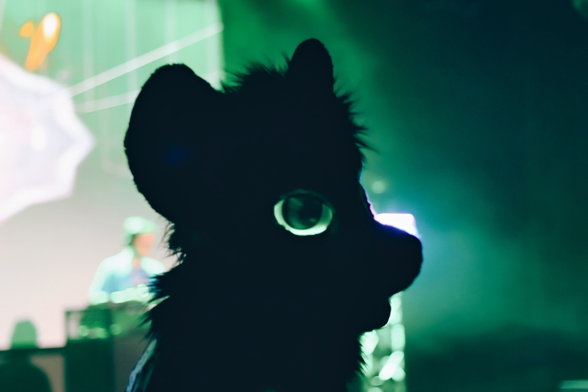 Photograph showing the silhouette of a fuzzy animal head with large and glowing green eyes, turning sideways at the camera and looking right at it. The background is a blurry, smoke-filled room partially lit by bright green lights, a DJ on stage and some kind of visualisation playing on the wall behind the DJ. It's a dance party, and the animal is eyeing you intently.