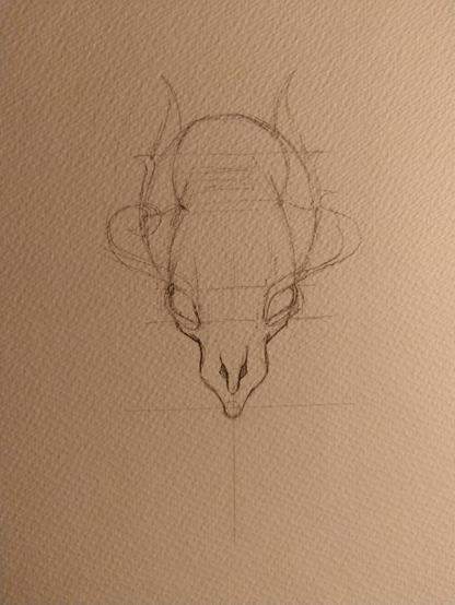 Pencil drawing of a dragon's head