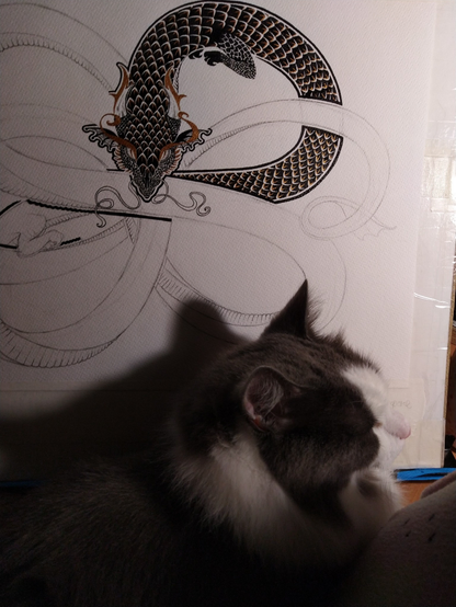 A cat in front of a drawing