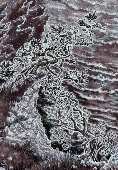 Closer look at the crooked trees