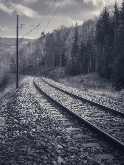 A single train track on gravel is winding its way along a forest. The picture has been processed and appears in grey tones, with one single and very small red light along the tracks