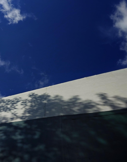 A photo looking up into a blue sky with scattered white clouds. The shadows of tree branches cast a silhouette on a green white wall. 