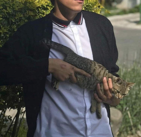 un jeune en blazer radicalisé tenant un félin de guerre en terrain minet