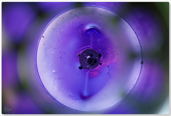Nahaufnahme von oben von einem runden lilafarbenem Grablicht, das auf einem lilafarbenen Hintergrund zu schweben scheint, es schwimmt aber in einem kleinen Wasserbecken, das die lilafarbenen Töne reflektiert.

A close-up shot from above of a round, purple grave candle that appears to be floating on a purple background; however, it is actually floating in a small basin of water that reflects the purple hues.