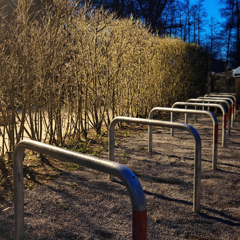 A photo showing a row of empty metal bike racks on a gravel surface. Backlit shrubs line the racks on the left, under a dark blue evening sky.