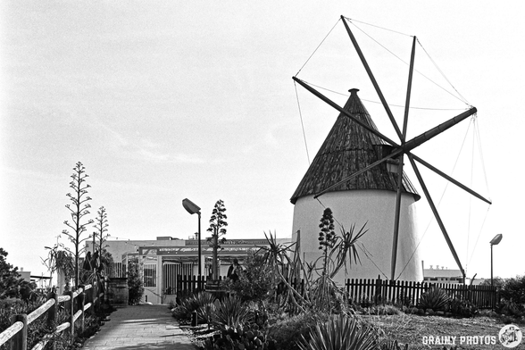A black and white photograph featuring a windmill with a conical roof, set against a clear sky. Surrounding the windmill are tall plants and a pathway leading towards a fenced café area.