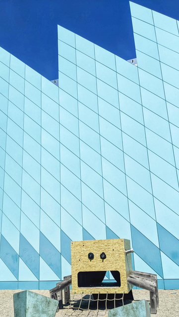 Eine Figur auf einem Spielplatz: eine Spinnenförmige Figur mit einem roboterähnlichen Kopf aus Holzspanplatten.
 
Der Kopf hat zwei runde schwarze Augen und einen großen rechteckigen Ausschnitt als Mund. Die Figur steht auf feinem Kies. ein kleines Kletternetz aus Seil führt vom unteren Mundbereich zur Erde. 

Die hellbeige Spinne steht vor einer türkisen Fassade, die aus vielen symmetrisch aneinandergelegten Paneelen in Salino-Form besteht. Nur die schmale Abschlussleiste und die erste Salinoreihe sind farblich in dunkleren Türkis abgesetzt.