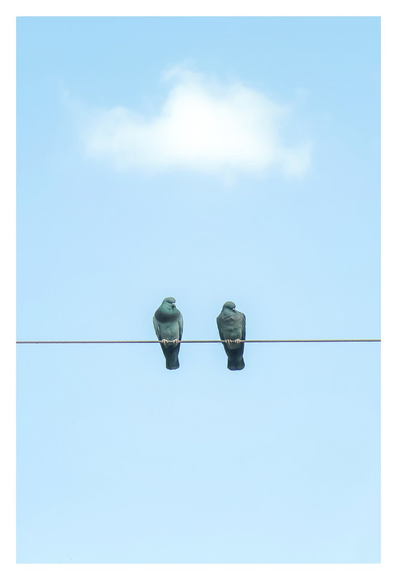 This is a potograph of two small, greenish-grey pigeons perched on a thin wire. They are against a clear, light blue sky with a single, small white cloud above them. The birds are positioned side by side, facing forward.