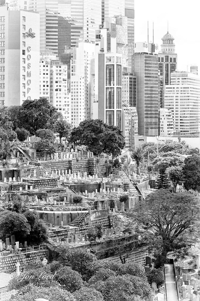 This is a black and white cityscape and landscape photo in portrait format of a terraced cemetery on a hillside with a dense high-rise city in the near background. Happy Valley, Hong Kong (2013).

From the base of the photo and rising upwards to a little over the halfway up level is a steep hillside graveyard. The landscape has been terraced with tiers stretching across from left to right. On these tiers are multiple, hundreds, of tombstones, mostly white and contrasting against the stone walls behind, supporting the many terraces. On and around the cemetery are numerous mature, dark leafed, trees. The top level of the graveyard slopes gently from the left to the right, going out of view on the image's right edge at the halfway up point. In the not so distant background, about 1km away, is a dense, mass of high-rise apartment, office and hotel buildings, mostly brilliant white, some glass fronted. Above is a white, overexposed sky, maybe clear, maybe overcast, but devoid of any detail. 

The location is Happy Valley, Hong Kong, famed for it's racecourse. The lower part (about a quarter) of the image is the Michael's Catholic Cemetery, while the upper part is the Muslim Cemetery, while nearby is the Jewish Cemetery, Hindu Cemetery and Parsee Cemeteries. 
