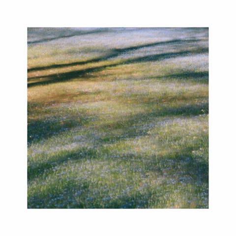 a square image showing an ocean of tiny blue scilla flowers growing between the green grass. a tall tree casting its shadow on the scene creating some interesting patterns of light. the whole image is intentionally blurred which creates an almost painterly effect