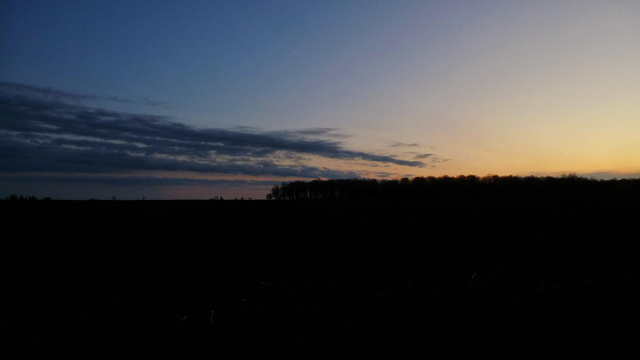 The dark silhouette of the ground and distant treeline is seen against the orange glow of the evening sunset. A line of dark clouds can be seen along the left.