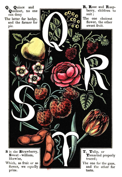 The letters Q, R, S, and T are rendered in white over black background decorated with plants and fruit such as rose, raspberry, sweet William, tulip, quince…