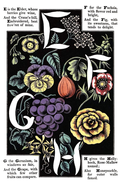 The letters E, F, G, and H are rendered in white over a black background decorated with plants and fruit such as elder, hollyhock, fig, geranium, grapes…