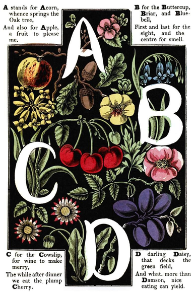 The letters A, B, C, and D are rendered in white over a background of plants and fruit such as buttercups, acorns, daisies, cherries, bluebells, cowslips…