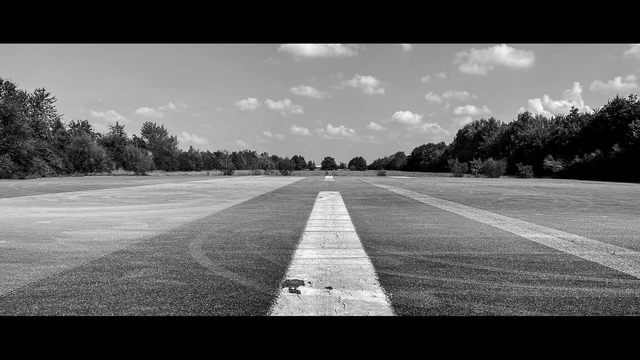 Bodennahes Fotos eines breiten Teerstreifens der auf eine Reihe von Bäumen zuführt. Einige Markierungen sind noch auf dem Teer erkennbar.