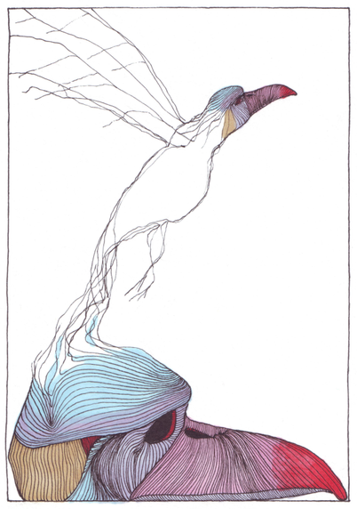 dessin d'un crâne d'oiseau qui s'effiloche, ces fils forme une sorte d'oiseau qui s'envolent