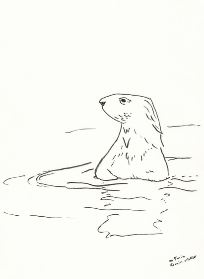Ink study of otter sticking its torso up over the water and looking chill.