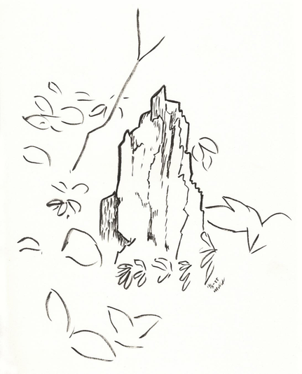 An ink study of an old tree stump.