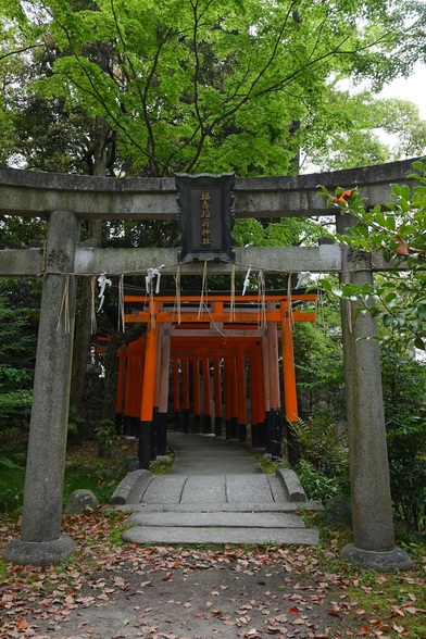 御霊神社の境内の奥の方にある福壽稲荷神社の鳥居。/ 2026.04.18 御霊神社から