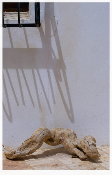 Im schmalen Hochformat Blick auf eine weisse Hauswand. Darunter liegt ein vertrocknetes Stück Treibholz in verdrehter Position auf Steinboden, eine Art Wurm mit schmerzverzogenem Gesicht. Die Nachmittagssonne wirft den Schatten der teilweise zerborstenen Fenstergitter in seine Richtung. 