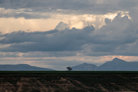 Español: un árbol solitario en medio de un campo de cultivo, con una cadena de montañas al fondo y un cielo cargado de nubes que dejan pasar la luz del atardecer.

English: a lone tree in the middle of a cultivated field, with a mountain range in the background and a sky full of clouds letting through the last light of dusk.