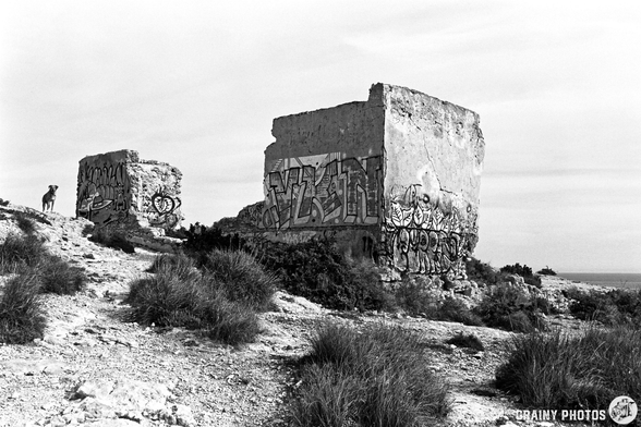 A black-and-white photograph of a dilapidated structure covered in graffiti, surrounded by rocky terrain and sparse vegetation - an urban decay aesthetic in an outdoor setting.