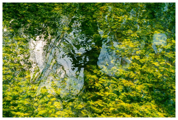 Fotos eines mit bayrischer gemütlichkeit dahinschleichenden Flusses mit klarem Wasser. An dessen Grund wuchern Wasserpflanzen in - ich habe nachgezählt - 50 verschiedenen Grüntönen. 
