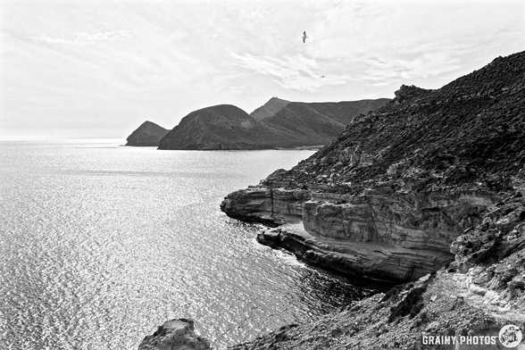 A scenic black and white view of rugged coastal cliffs meeting a calm sea, with distant mountains under a cloudy sky. A lone seagull flies overhead, adding to the serene and natural landscape.