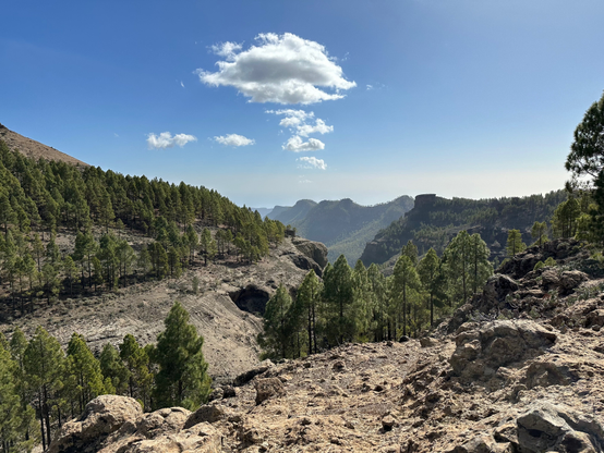 Midday panorama from one the mountain ridge. The hills and valleys covered with pine forests are stretching into the distance under a clear blue sky.