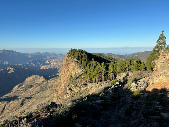 A mountain vista stretching to the horizon. The mountains are covered in pine trees. A silhouette of Teide mountain on the Tenerife island could be seen in the distance due to clear weather. 