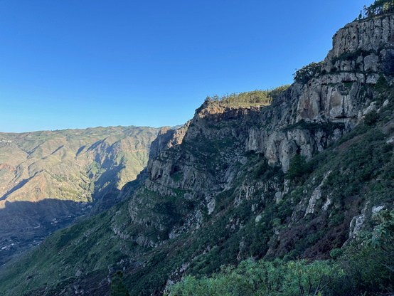 A shady and wet microclimate in the shadows of the northern edge of the mountains. The mountains a sloping down, hiding lush vegetation at their side. A forest on the top of the mountain is lit by the rays of the setting sun.  