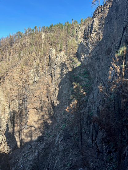 A forest partially surviving the wildfire clinging to the edge of the mountain. 