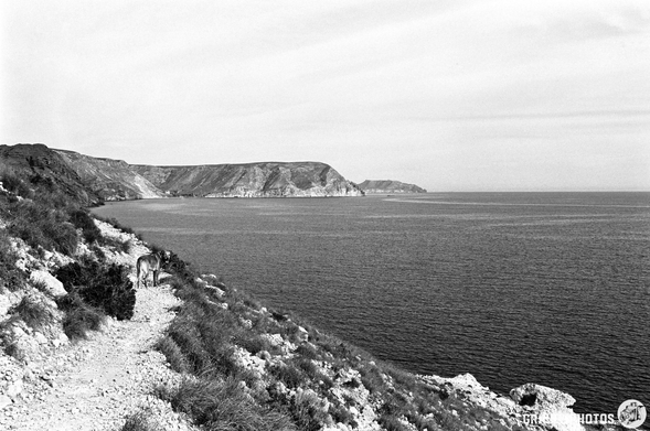 A monochrome landscape featuring a rocky shoreline and gentle cliffs. A winding path runs along the coast, with sparse vegetation. The calm sea stretches into the horizon under a partly cloudy sky.