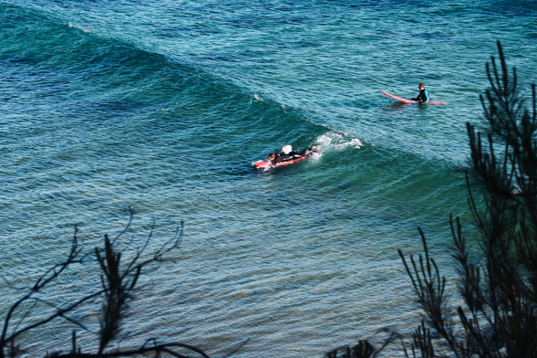 das bild zeigt eine teleaufnahme von zwei surfern in neoprenkleidung, die auf ihren roten surfbrettern im wasser unterwegs sind.
ein wellenkamm verläuft diagonal von links oben nach rechts unten. einer der surfer liegt auf seinem brett auf dieser welle und paddelt kräftig an, um sie reiten zu können.
der andere surfer sitzt derweil auf seinem surfbrett hinter der welle und schaut in die ferne.
im vordergrund sind unscharf dunkle sträucher angeschnitten.
die blautöne sind intensiv, und die sonne wirft ein angenehm dezentes licht auf die szene.