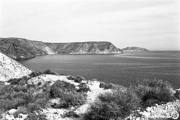 A scenic black and white view of a coastline, featuring a curving shoreline with rocky cliffs and gentle waves. Grassy patches dot the rugged terrain, leading to a calm sea that extends to the horizon under a clear sky.