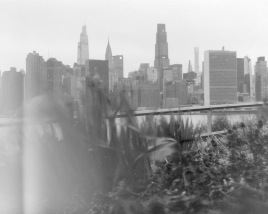 Dreamy pinhole photo across the East River taken from LIC, showing the Chrysler Building and the UN headquarters. There're daffodils in the foreground blurred by the wind.