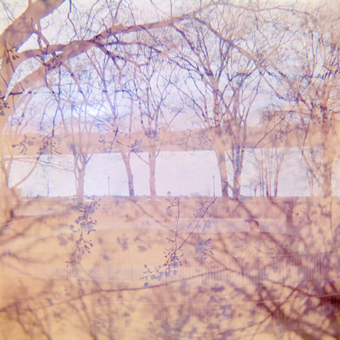 Double exposure showing cherry blossoms on branches and the Hudson in the distance