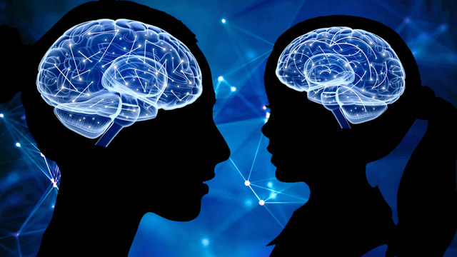Neruons in adults are rigid and more difficult to adapt, which is shown with straight lines connecting neurons in their brains. Children have more flexibility and vulnerability to serious upset, shown by curved lines connecting their neuronal circuits.