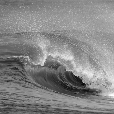 A monochrome image of a barrelling ocean wave breaking near the shore.