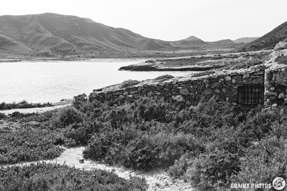 A black and white landscape featuring a rocky shoreline with a stone structure partially covered by greenery, overlooking a calm body of water and distant mountains under a clear sky.