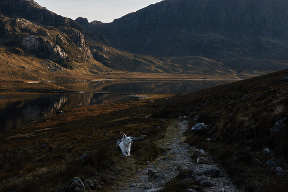Skye beside the path looking up to something unseen on Càrn na Paite. In the background is the causeway and our little corner of earth lit by the low sun. Crags reflected in the still waters, deep shadows, and an atmosphere that no photo can ever capture. 