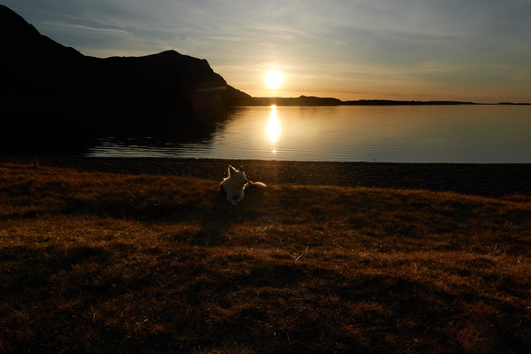 Skye lying on the grass in front of our camp with the sun about to set behind her over Fionn Loch and a distant silhouetted landform.