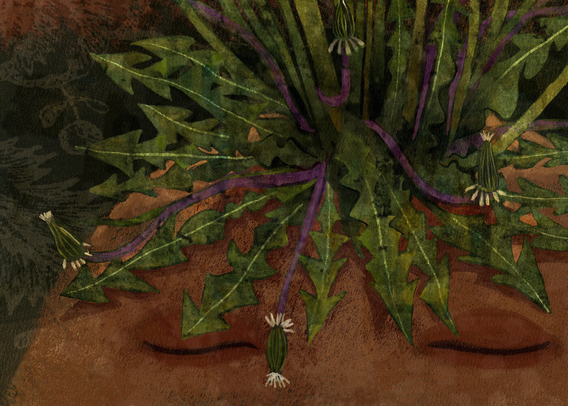 Against a deep umber, rust, purple and green background, the top of a pumpkin orange abstract head with closed eyes. On its crown, a patch of dandelions whose dried white heads open into full spheres, parachuting seeds as they glide through the wind. (partial image)