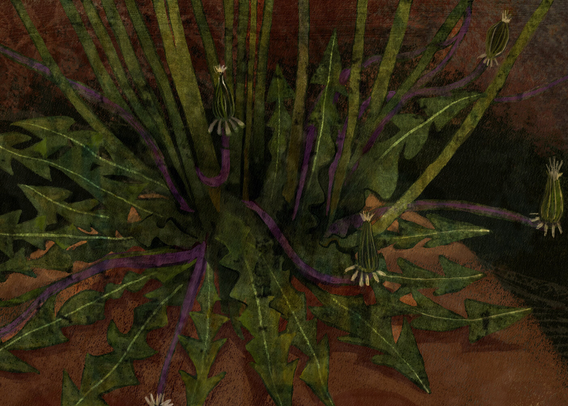 Against a deep umber, rust, purple and green background, the top of a pumpkin orange abstract head with closed eyes. On its crown, a patch of dandelions whose dried white heads open into full spheres, parachuting seeds as they glide through the wind. (partial image)