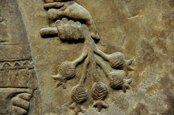 Détail d’un bas-relief en albâtre représentant un Apkallu tenant une branche fleurie. Période néo-assyrienne, 865-860 av. J.-C. 